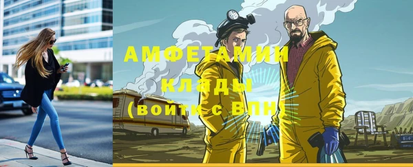 стаф Абаза