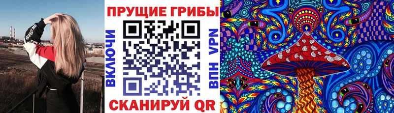 Псилоцибиновые грибы Magic Shrooms  магазин    Правдинск 