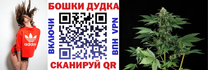 купить наркотики сайты  Правдинск  Марихуана гибрид 